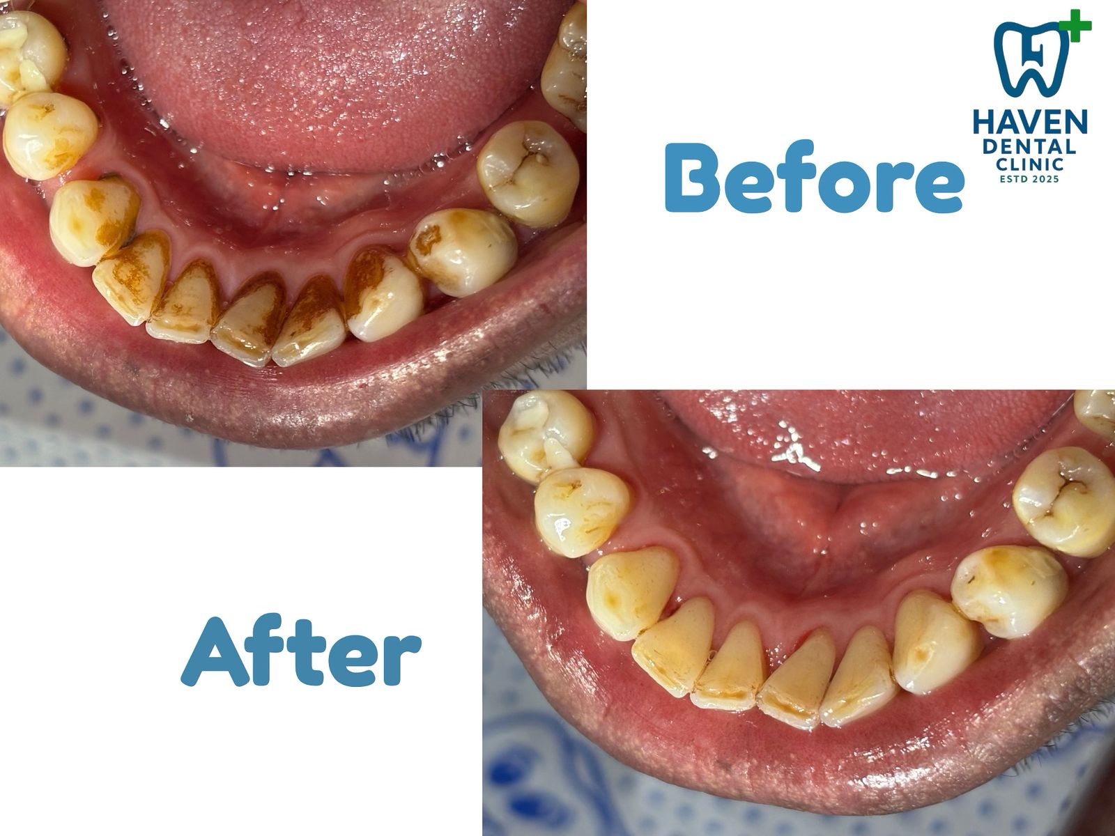 General Dentistry